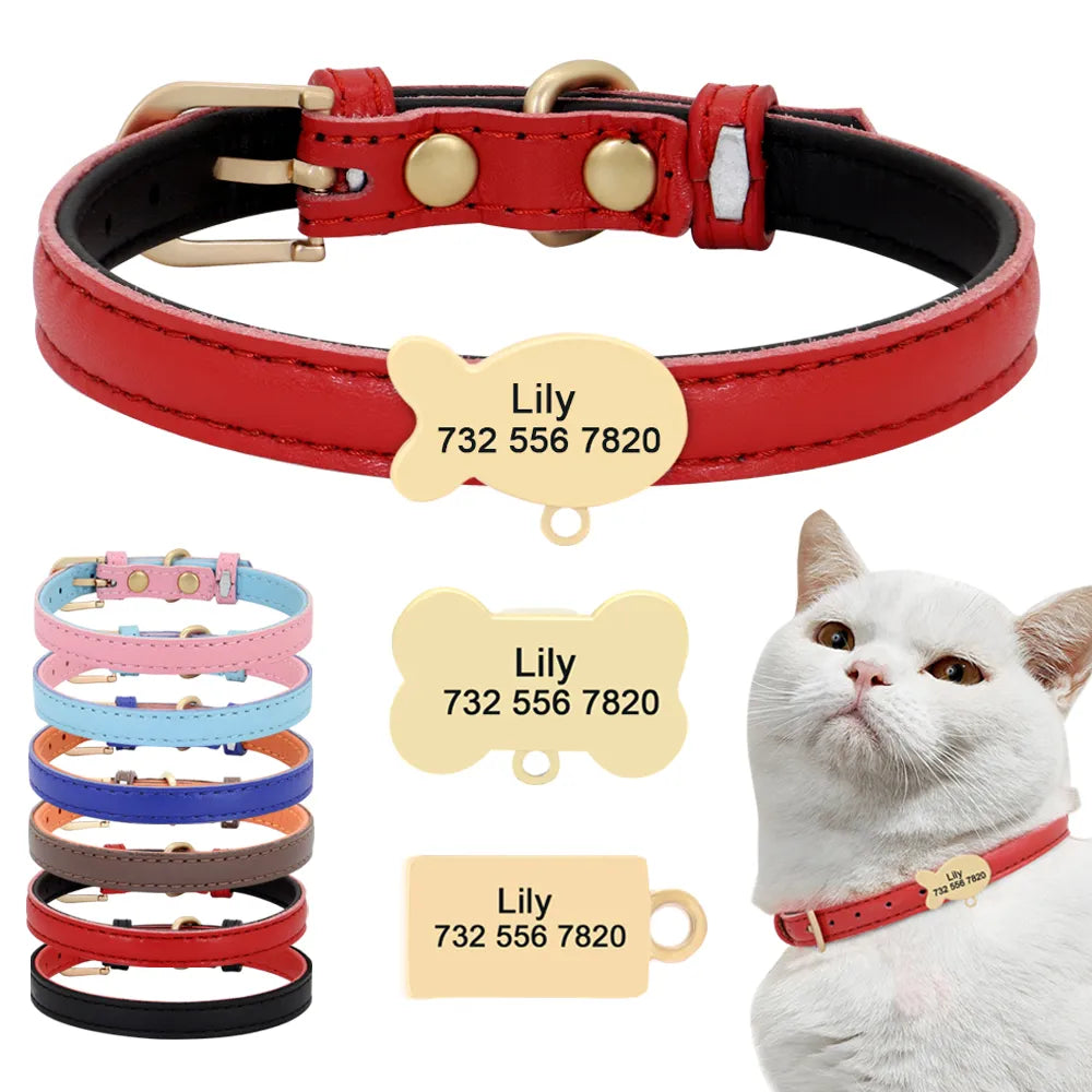 Cute Custom Cat Collar Personalized