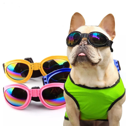 Best Pet Glasses