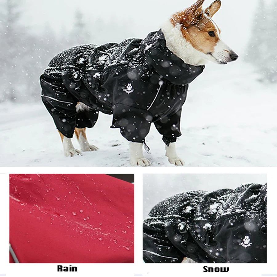 Pet Dog Coat Outdoor Jacket Pet