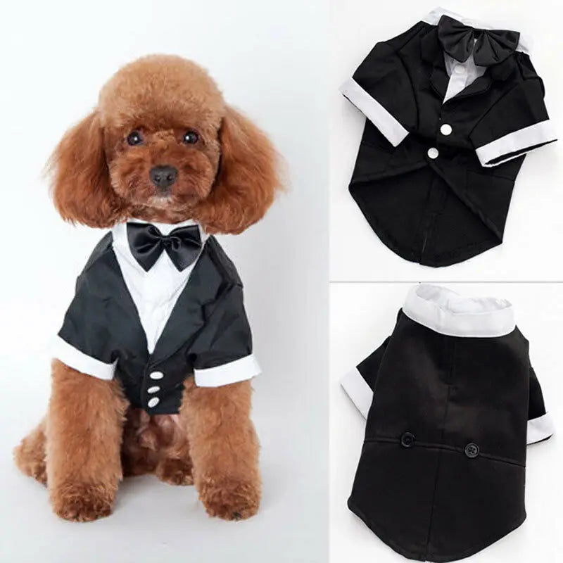 Dog Clothes Cat Prince Wedding Costume Cute Gentleman Cachorro Mascotas Chihuahua Tuxedo Bowtie Puppy Coat 5 Sizes Pets Supplies