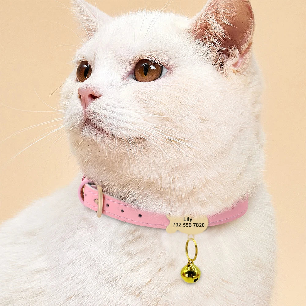 Cute Custom Cat Collar Personalized