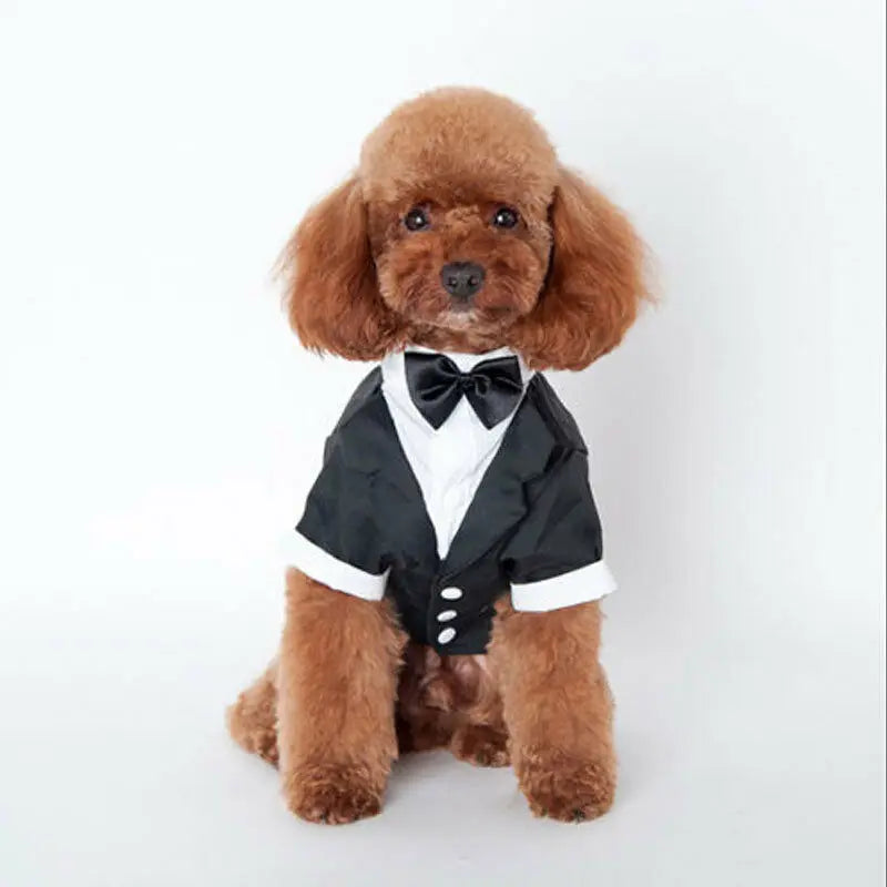 Dog Clothes Cat Prince Wedding Costume Cute Gentleman Cachorro Mascotas Chihuahua Tuxedo Bowtie Puppy Coat 5 Sizes Pets Supplies