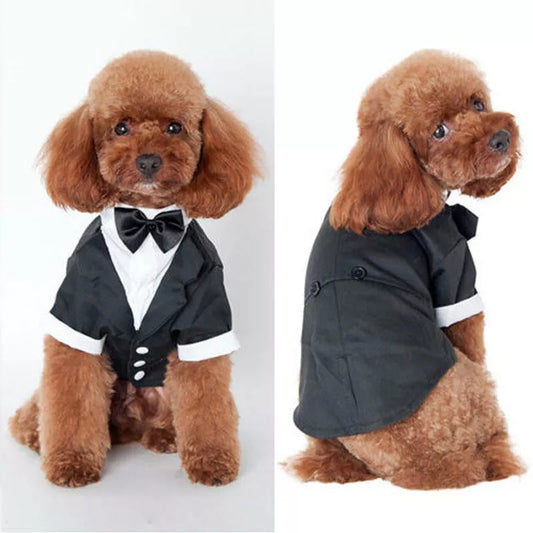 Dog Clothes Cat Prince Wedding Costume Cute Gentleman Cachorro Mascotas Chihuahua Tuxedo Bowtie Puppy Coat 5 Sizes Pets Supplies