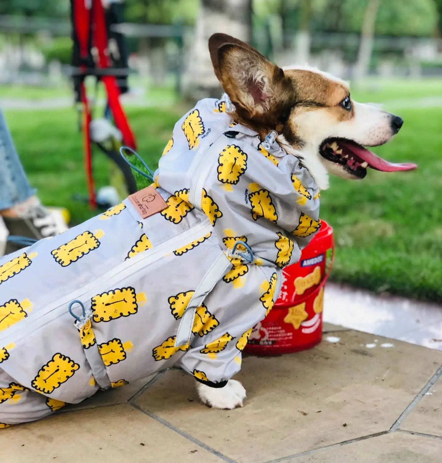 Waterproof Welsh Corgi Dog Raincoat, Jumpsuit Pet Clothing, Dog Clothes, Golden Retriever Rain Jacket, Costume Pet Outfit