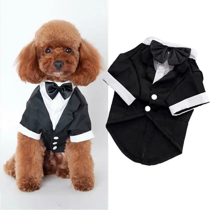 Dog Clothes Cat Prince Wedding Costume Cute Gentleman Cachorro Mascotas Chihuahua Tuxedo Bowtie Puppy Coat 5 Sizes Pets Supplies