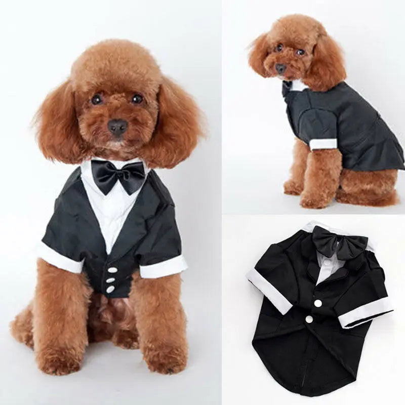 Dog Clothes Cat Prince Wedding Costume Cute Gentleman Cachorro Mascotas Chihuahua Tuxedo Bowtie Puppy Coat 5 Sizes Pets Supplies