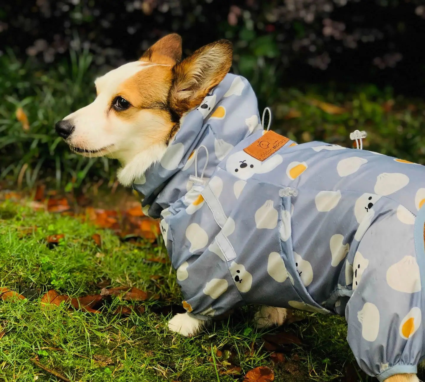 Waterproof Welsh Corgi Dog Raincoat, Jumpsuit Pet Clothing, Dog Clothes, Golden Retriever Rain Jacket, Costume Pet Outfit