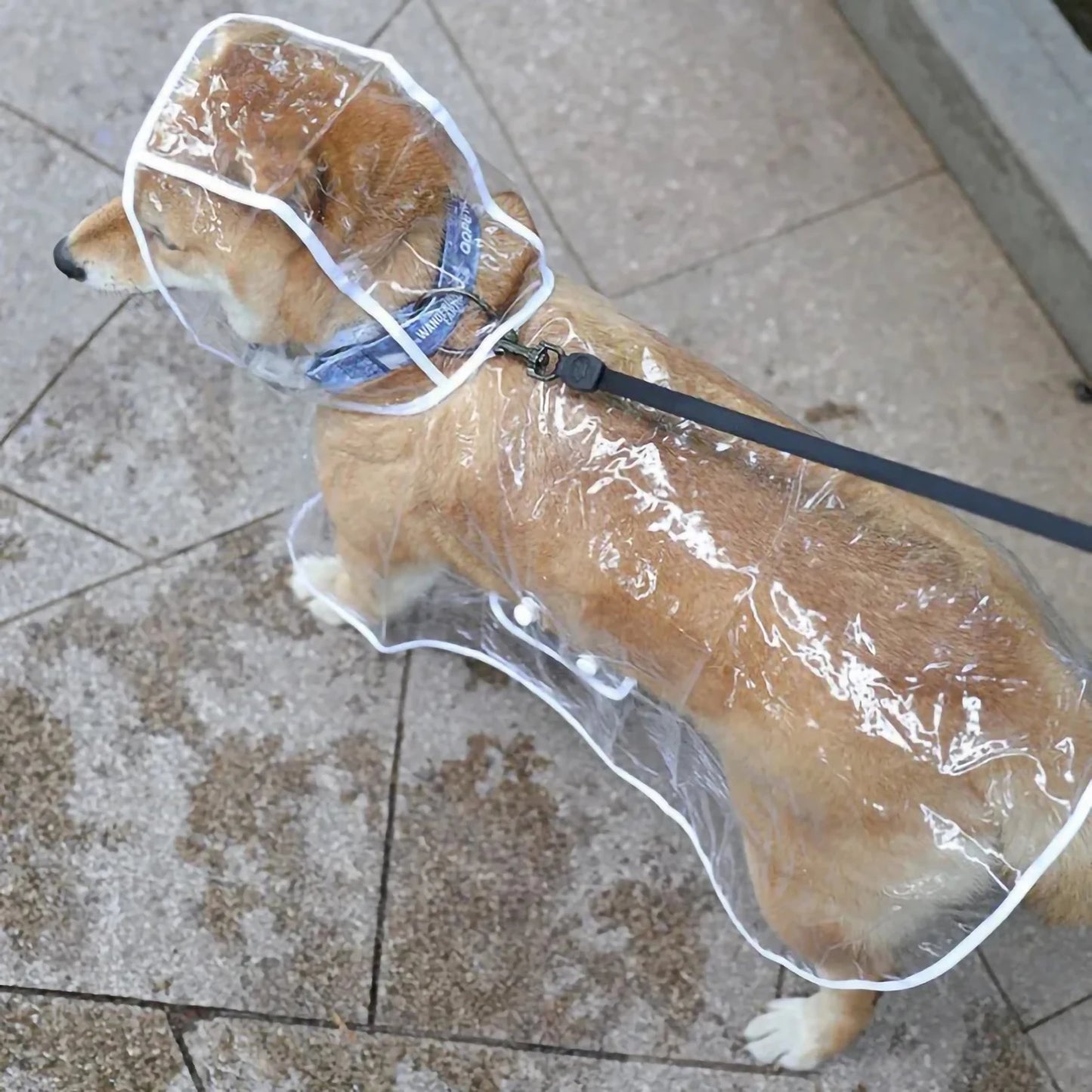 Pet Dog Puppy Transparent Rainwear Raincoat Pet Hooded Waterproof Jacket Clothes Soft PVC Small Dogs Raincoat Puppy Rain