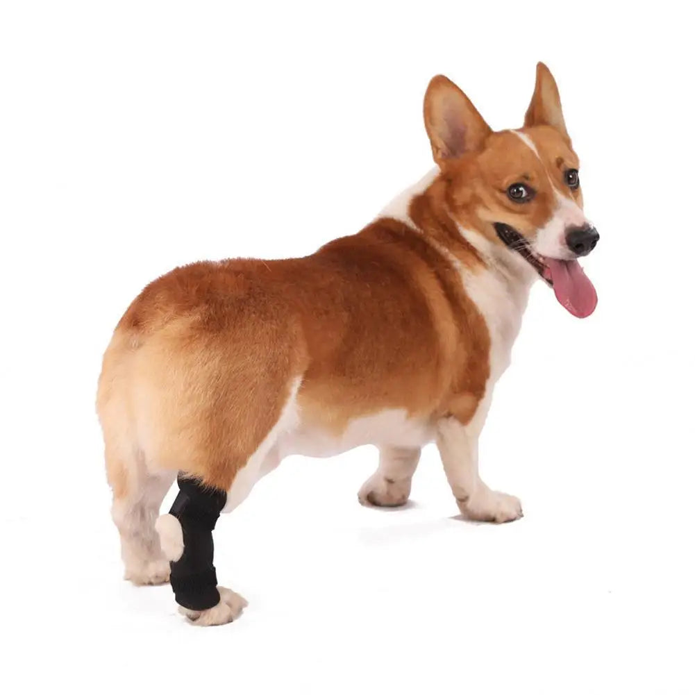 【 New Arrivals 】 Pet Dog Braces Anti-licking Compression Wrap Pet Protective Gear Wound Care For Injury Sprain Protection