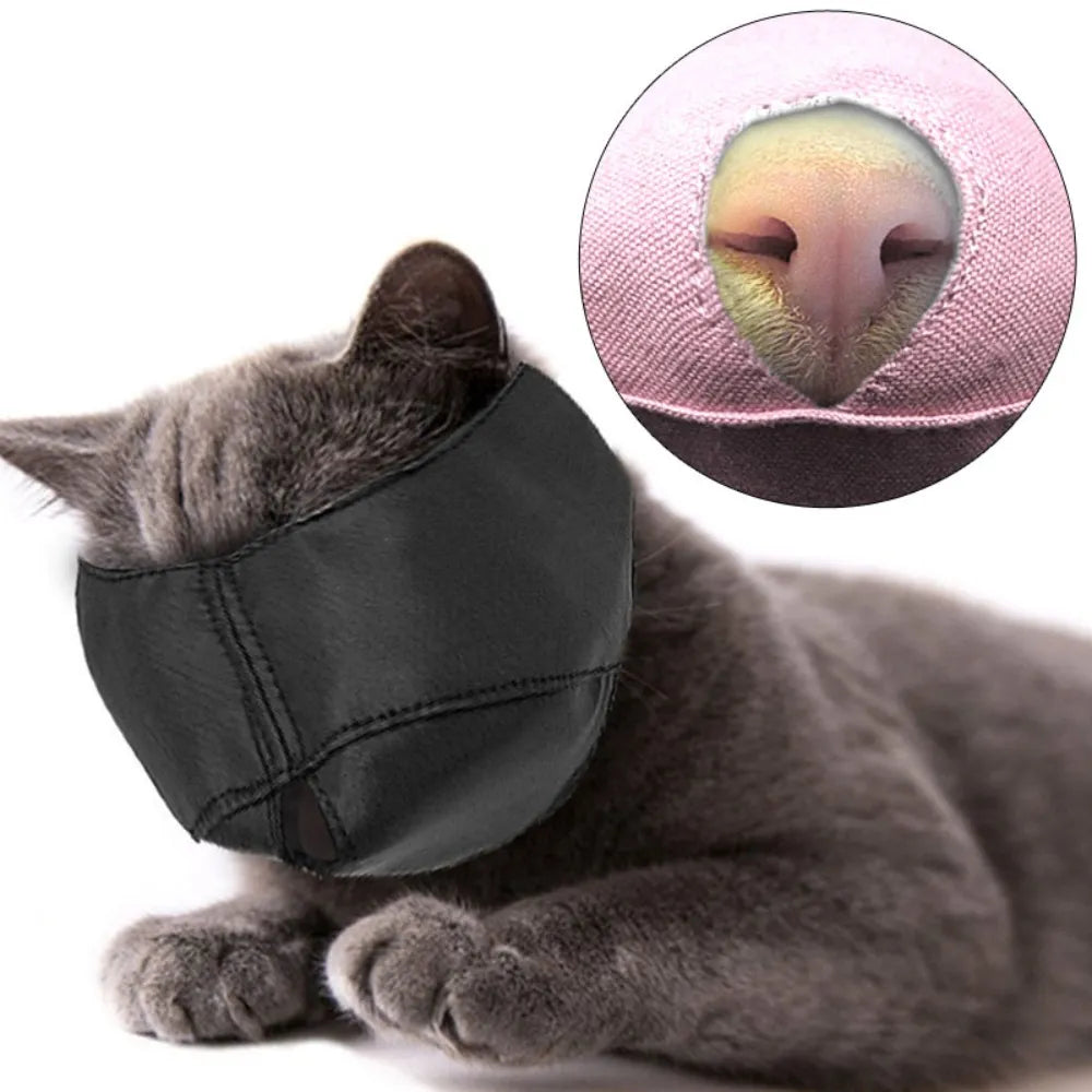 Cat Muzzles Kitten Face Masks