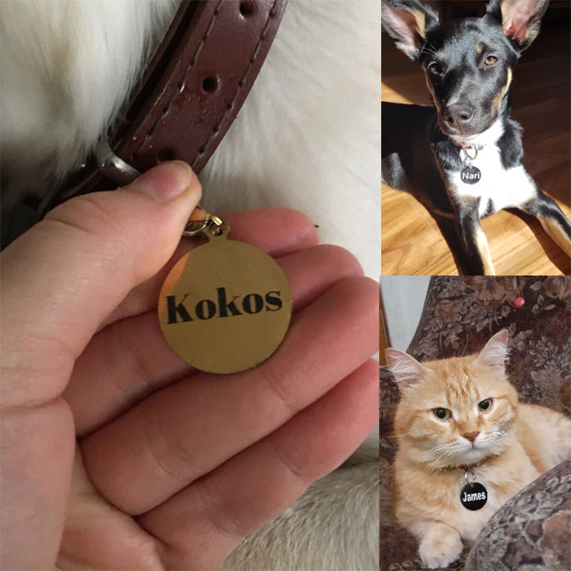 Cat Dog ID Circle Tag Collar Pendant