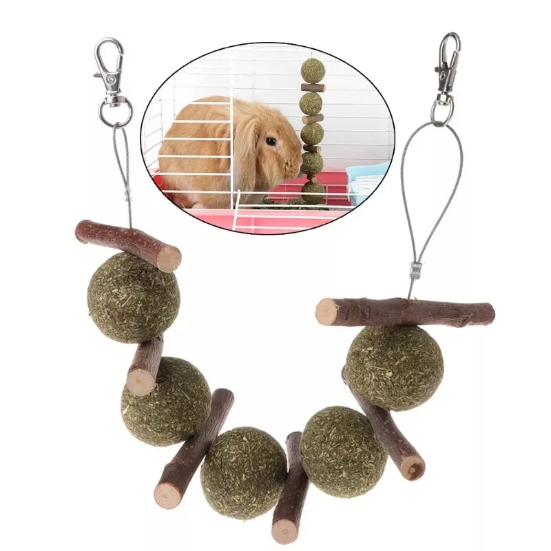 Pet Wooden Tooth Grinding Toys