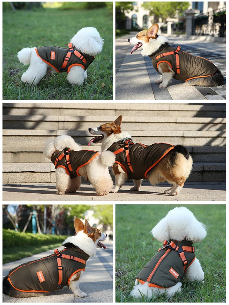 Puppy Jacket Waterproof Pet