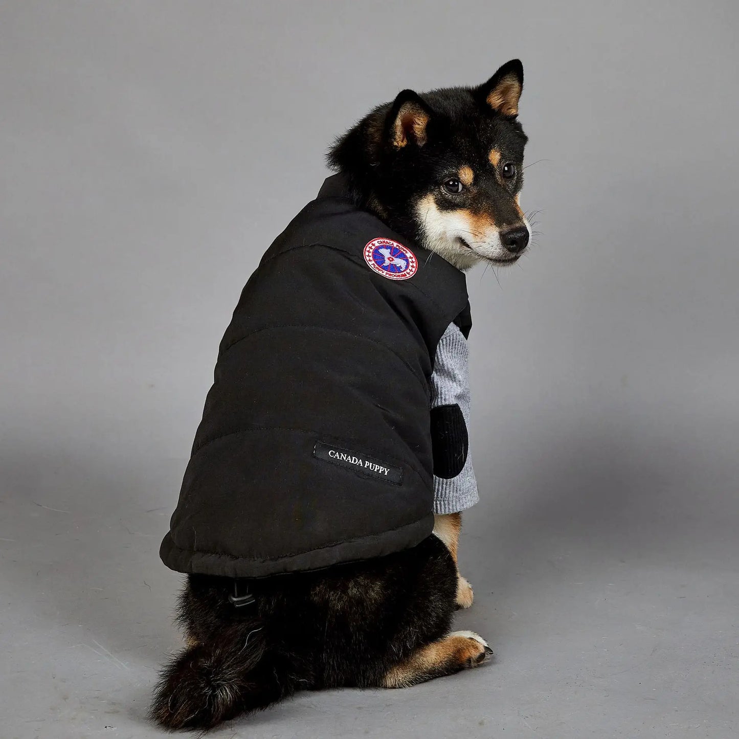 Dog Cotton Jacket Vest  waterproof